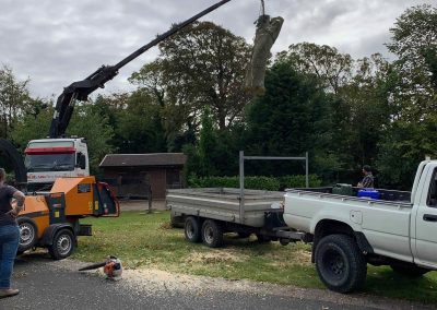 A Lumber Tree care crane lifting a felled tree onto a trailer